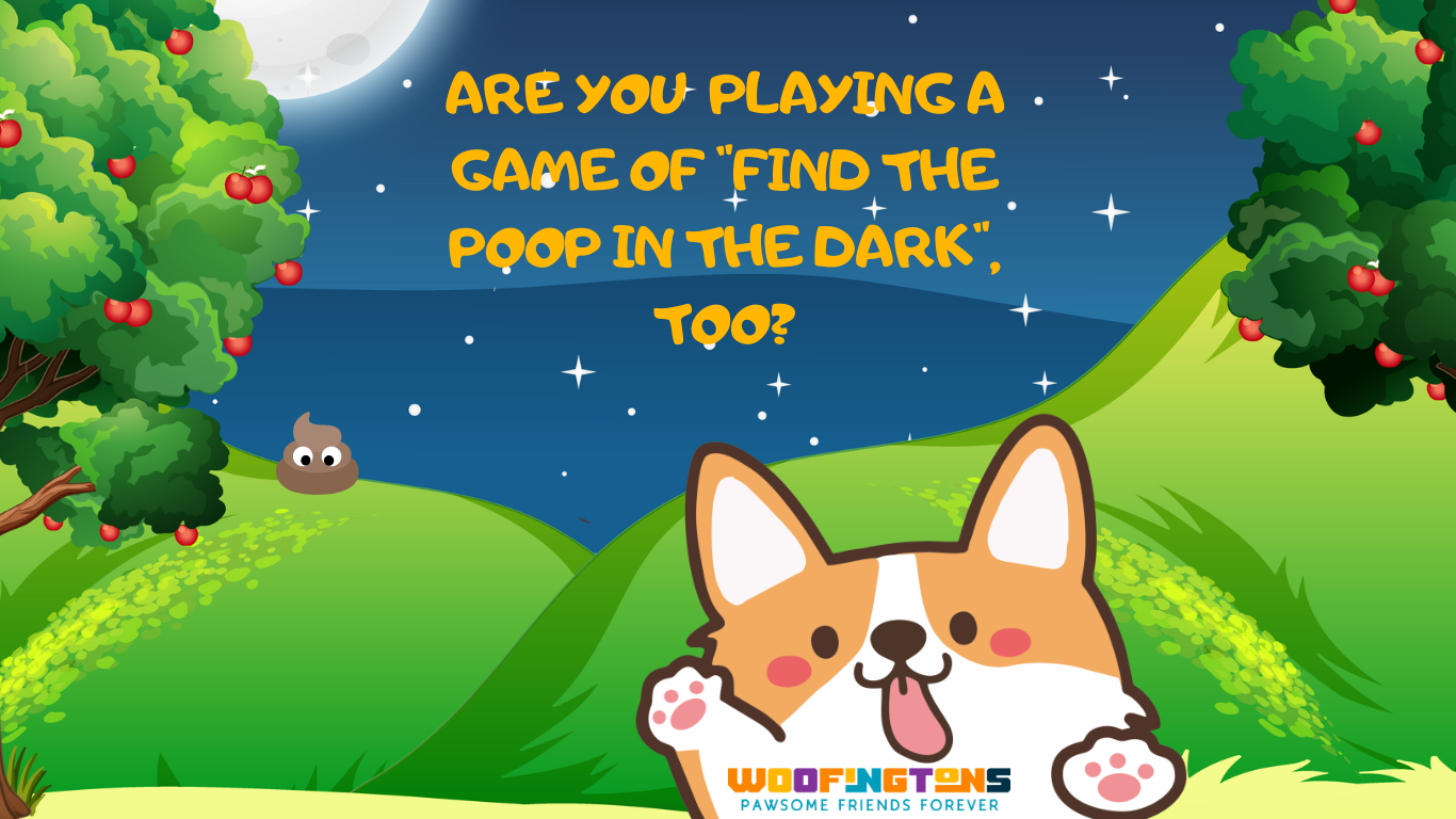 Hunting for number two in the dark - A dog owners daily struggle