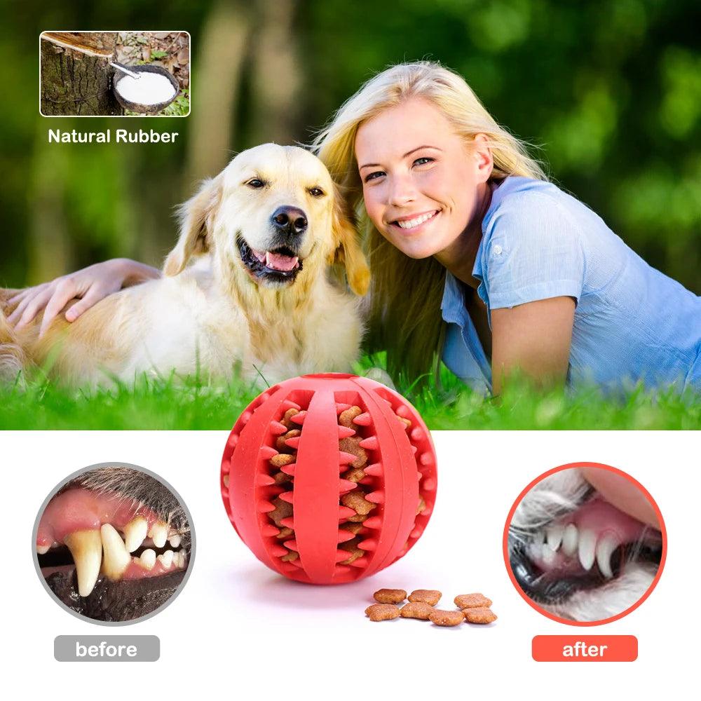 Interactive Rubber Dog Toy - Teeth Cleaning &amp; IQ Training - Woofingtons