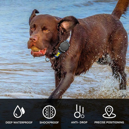 Waterproof Apple Air Tag Dog Collar Holder - Woofingtons